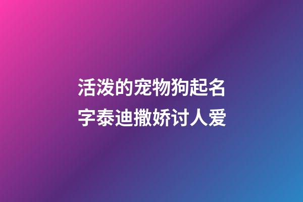活泼的宠物狗起名字泰迪撒娇讨人爱