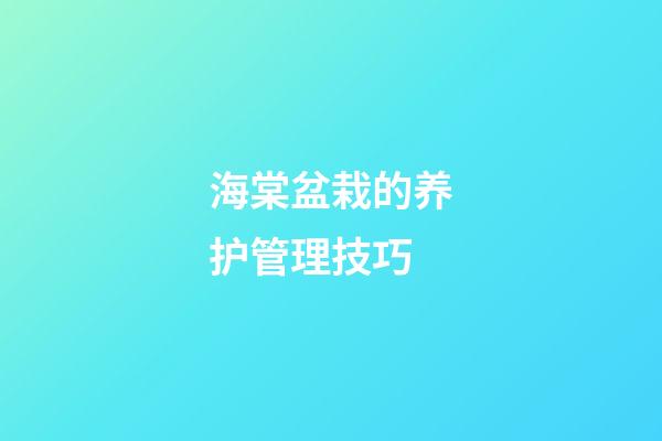 海棠盆栽的养护管理技巧