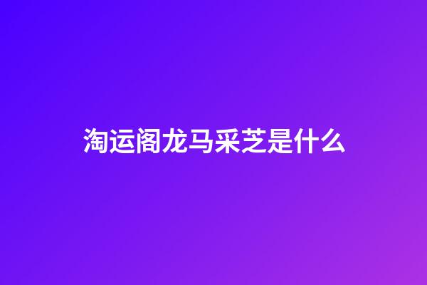淘运阁龙马采芝是什么