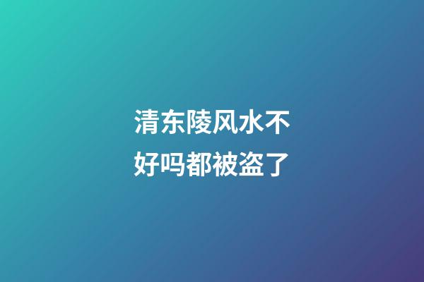 清东陵风水不好吗都被盗了