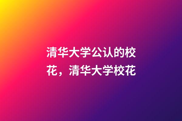 清华大学公认的校花，清华大学校花-第1张-观点-玄机派