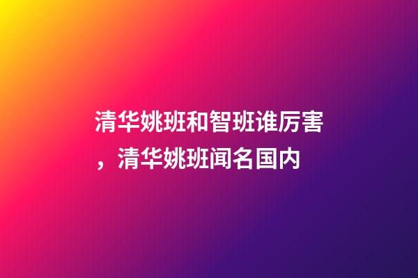 清华姚班和智班谁厉害，清华姚班闻名国内-第1张-观点-玄机派