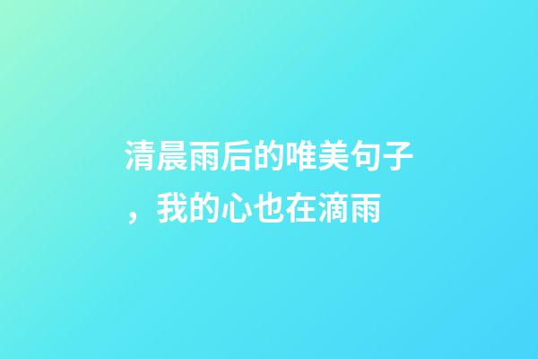 清晨雨后的唯美句子，我的心也在滴雨-第1张-观点-玄机派