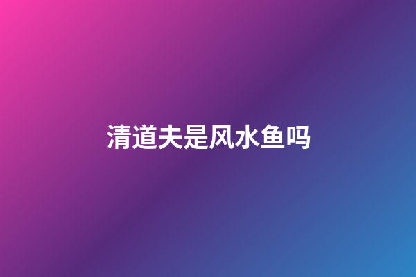清道夫是风水鱼吗