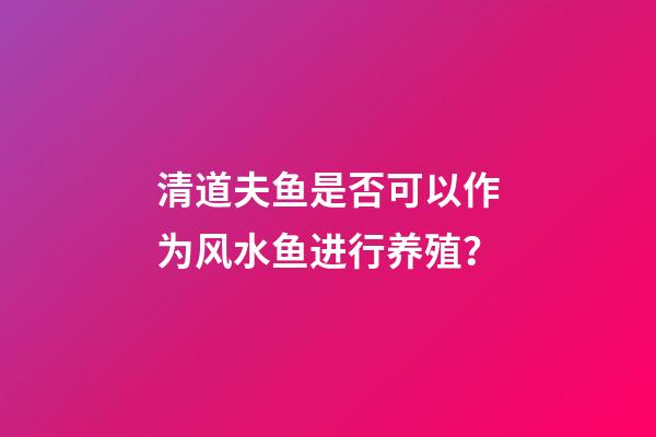 清道夫鱼是否可以作为风水鱼进行养殖？