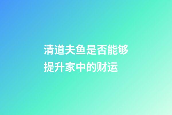 清道夫鱼是否能够提升家中的财运