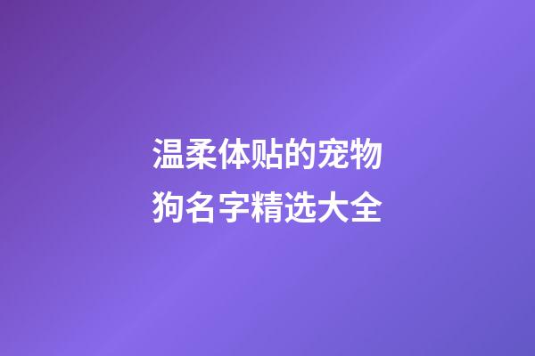 温柔体贴的宠物狗名字精选大全