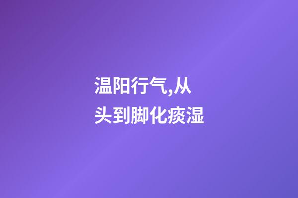 温阳行气,从头到脚化痰湿-第1张-观点-玄机派