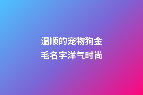温顺的宠物狗金毛名字洋气时尚