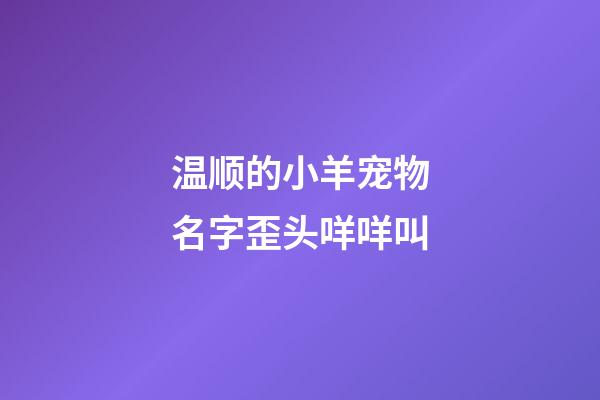 温顺的小羊宠物名字歪头咩咩叫