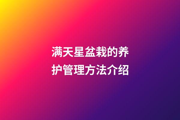 满天星盆栽的养护管理方法介绍