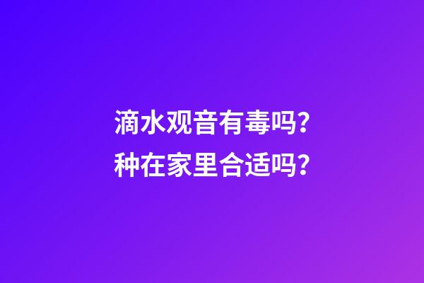 滴水观音有毒吗？种在家里合适吗？