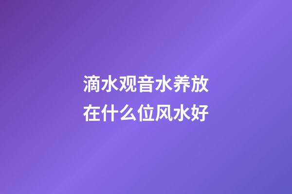 滴水观音水养放在什么位风水好