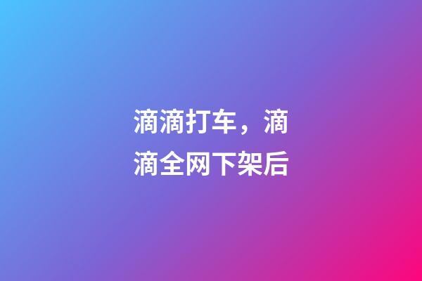 滴滴打车，滴滴全网下架后-第1张-观点-玄机派