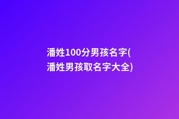 潘姓100分男孩名字(潘姓男孩取名字大全)