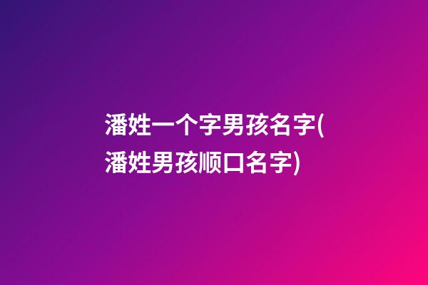 潘姓一个字男孩名字(潘姓男孩顺口名字)