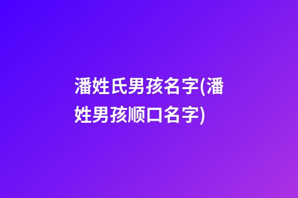潘姓氏男孩名字(潘姓男孩顺口名字)