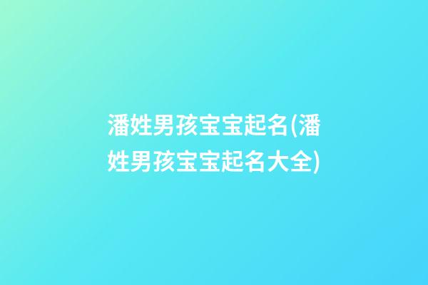 潘姓男孩宝宝起名(潘姓男孩宝宝起名大全)