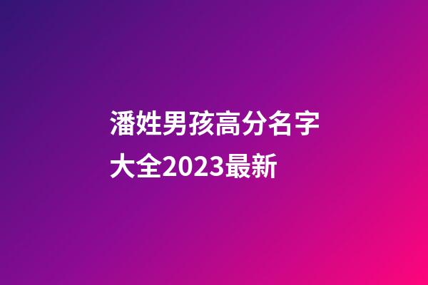 潘姓男孩高分名字大全2023最新
