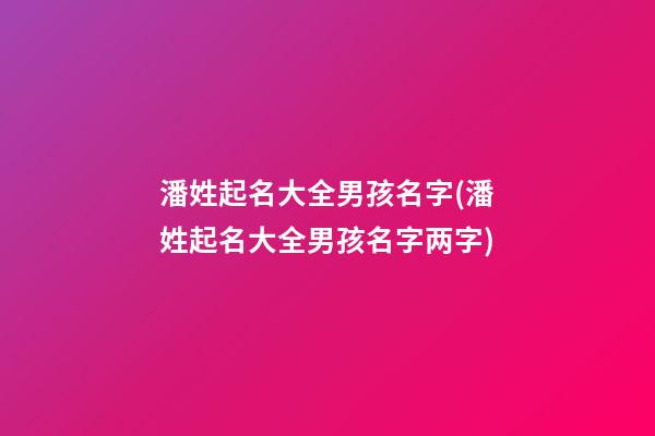 潘姓起名大全男孩名字(潘姓起名大全男孩名字两字)