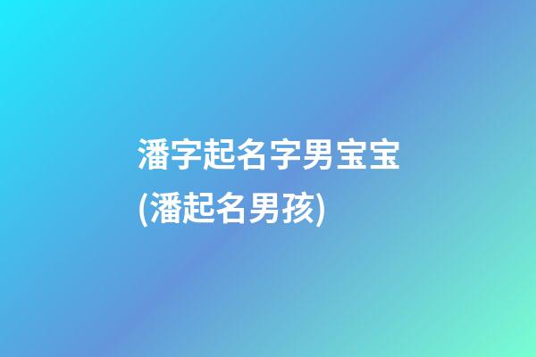 潘字起名字男宝宝(潘起名男孩)