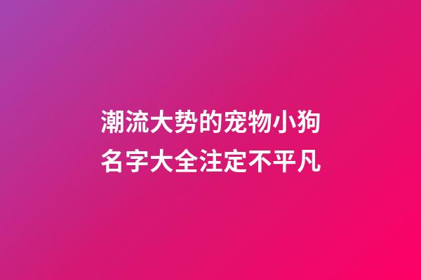 潮流大势的宠物小狗名字大全注定不平凡