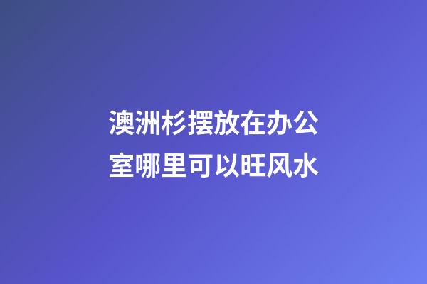 澳洲杉摆放在办公室哪里可以旺风水