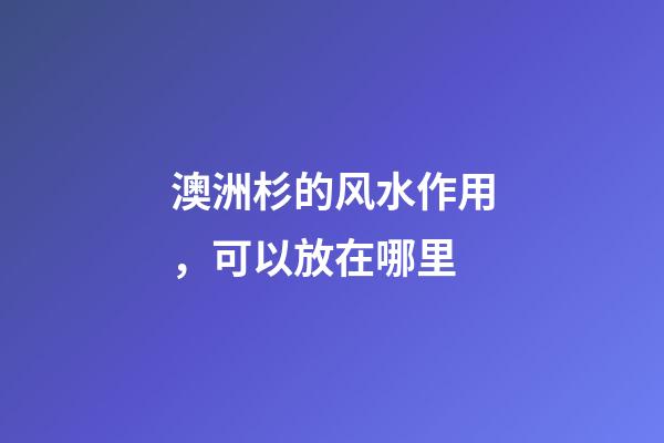 澳洲杉的风水作用，可以放在哪里