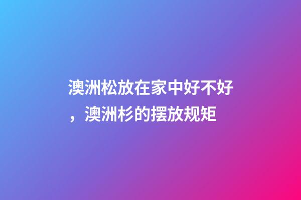 澳洲松放在家中好不好，澳洲杉的摆放规矩