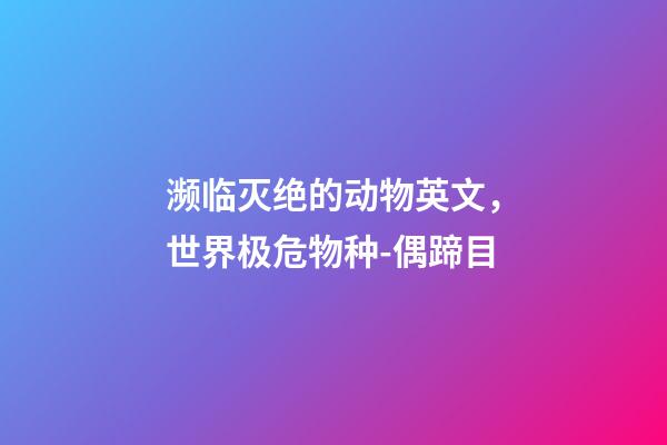 濒临灭绝的动物英文，世界极危物种-偶蹄目-第1张-观点-玄机派