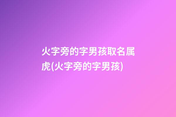 火字旁的字男孩取名属虎(火字旁的字男孩)