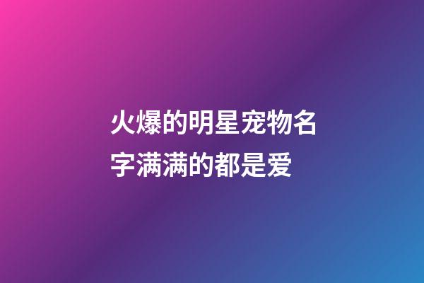 火爆的明星宠物名字满满的都是爱