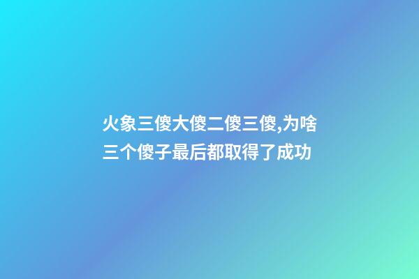 火象三傻大傻二傻三傻,为啥三个傻子最后都取得了成功-第1张-观点-玄机派