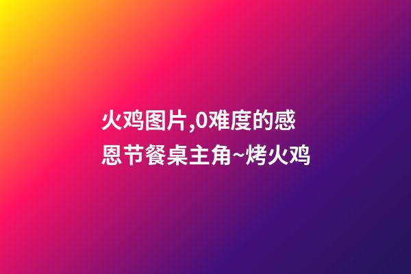 火鸡图片,0难度的感恩节餐桌主角~烤火鸡-第1张-观点-玄机派