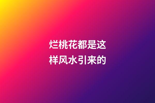 烂桃花都是这样风水引来的