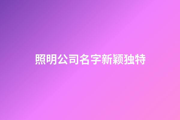照明公司名字新颖独特