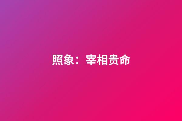 照象：宰相贵命