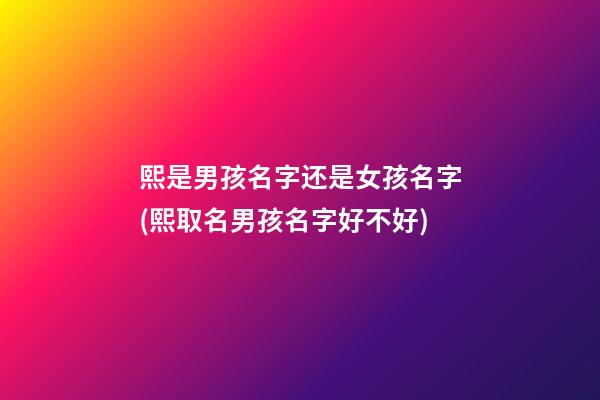 熙是男孩名字还是女孩名字(熙取名男孩名字好不好)