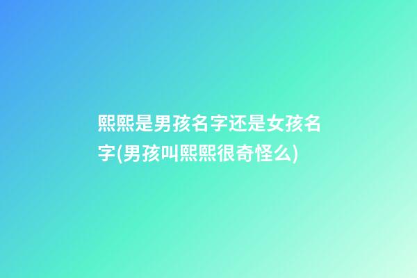 熙熙是男孩名字还是女孩名字(男孩叫熙熙很奇怪么)