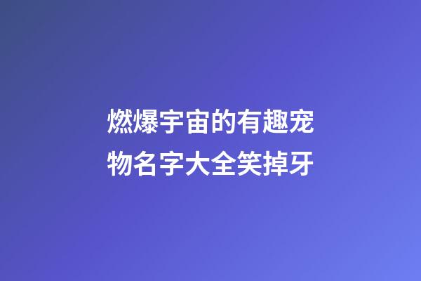 燃爆宇宙的有趣宠物名字大全笑掉牙