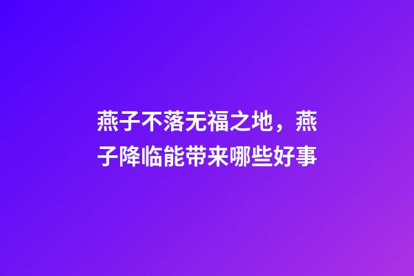 燕子不落无福之地，燕子降临能带来哪些好事