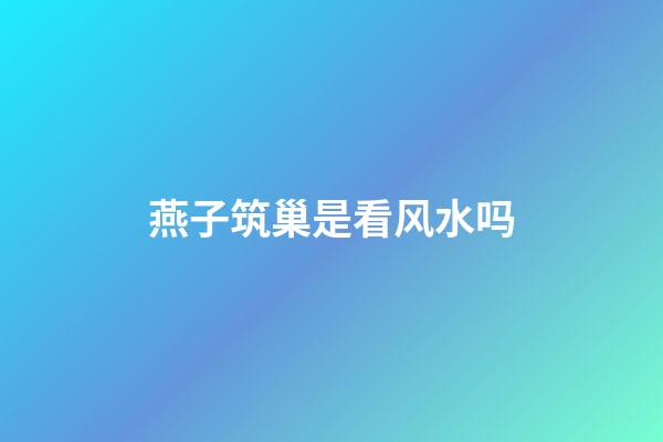 燕子筑巢是看风水吗