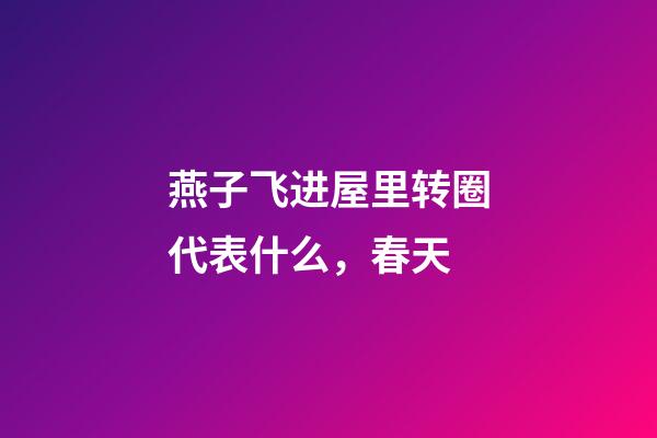燕子飞进屋里转圈代表什么，春天-第1张-观点-玄机派