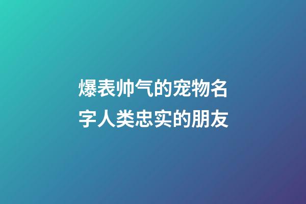爆表帅气的宠物名字人类忠实的朋友