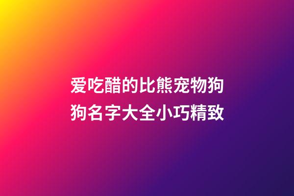 爱吃醋的比熊宠物狗狗名字大全小巧精致