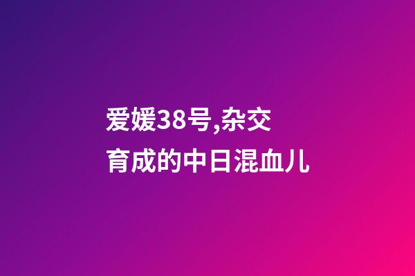 爱媛38号,杂交育成的中日混血儿-第1张-观点-玄机派