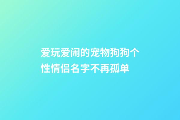 爱玩爱闹的宠物狗狗个性情侣名字不再孤单
