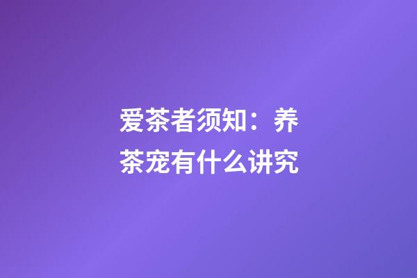 爱茶者须知：养茶宠有什么讲究
