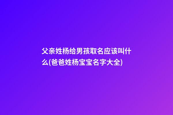 父亲姓杨给男孩取名应该叫什么(爸爸姓杨宝宝名字大全)
