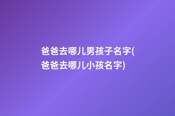 爸爸去哪儿男孩子名字(爸爸去哪儿小孩名字)